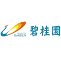 碧桂园控股有限公司